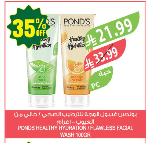 Orange available at المزرعة in مملكة العربية السعودية, السعودية, سعودية - جازان
