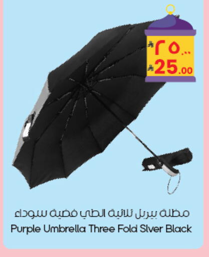 available at ستي فلاور in مملكة العربية السعودية, السعودية, سعودية - بريدة
