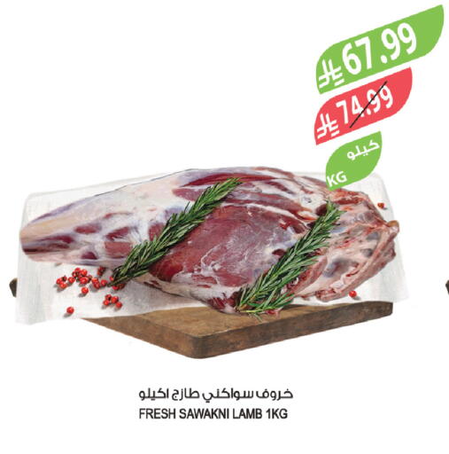 available at المزرعة in مملكة العربية السعودية, السعودية, سعودية - جازان