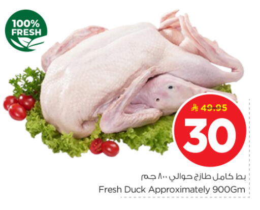 available at نستو in مملكة العربية السعودية, السعودية, سعودية - الرياض