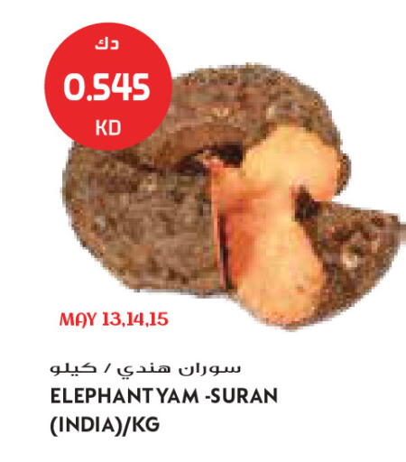 from India available at جراند كوستو in الكويت - مدينة الكويت