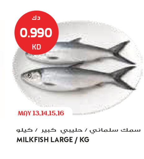 available at Grand Costo in Kuwait - Kuwait City