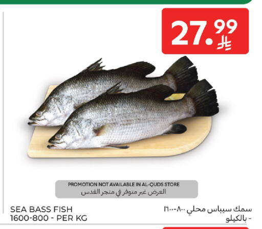 available at كارفور in مملكة العربية السعودية, السعودية, سعودية - بريدة