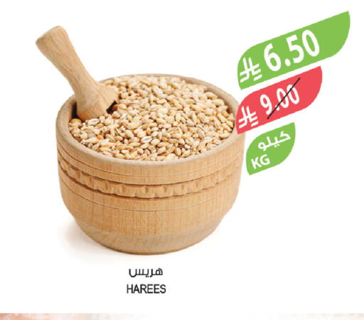 available at المزرعة in مملكة العربية السعودية, السعودية, سعودية - ينبع