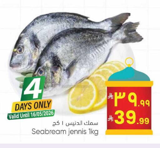 available at ستي فلاور in مملكة العربية السعودية, السعودية, سعودية - سكاكا
