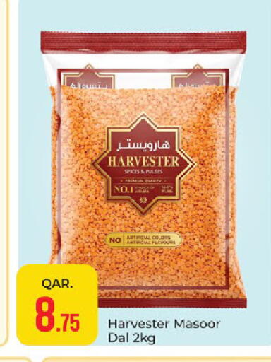 available at باريس هايبرماركت in قطر - الوكرة