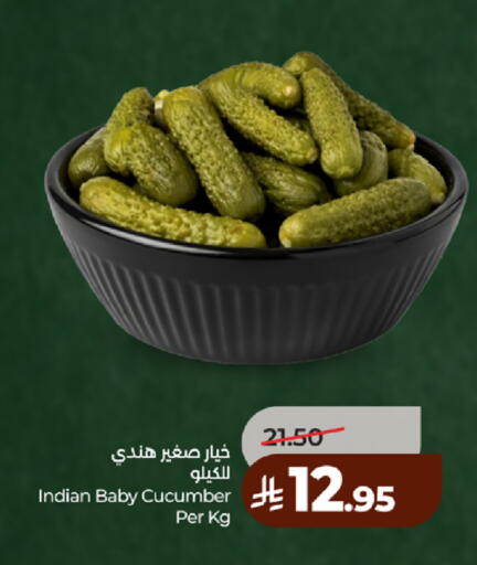 Cucumber available at لولو هايبرماركت in مملكة العربية السعودية, السعودية, سعودية - الطائف