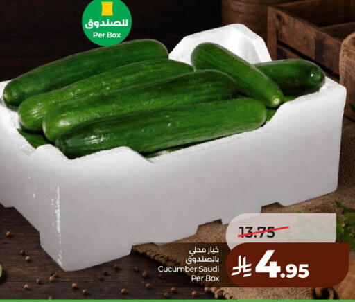 Cucumber from Saudi Arabia available at لولو هايبرماركت in مملكة العربية السعودية, السعودية, سعودية - الأحساء‎