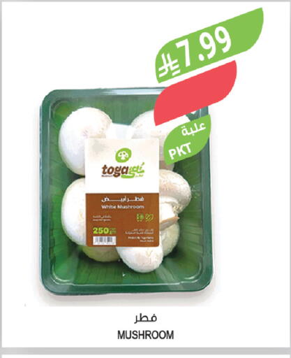 Mushroom available at المزرعة in مملكة العربية السعودية, السعودية, سعودية - الخبر‎