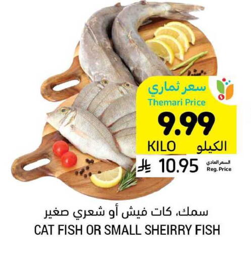 available at أسواق التميمي in مملكة العربية السعودية, السعودية, سعودية - بريدة