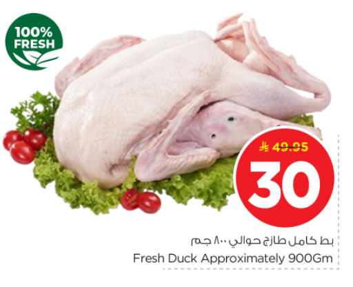 available at نستو in مملكة العربية السعودية, السعودية, سعودية - الرياض