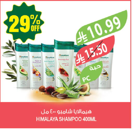 available at المزرعة in مملكة العربية السعودية, السعودية, سعودية - جازان