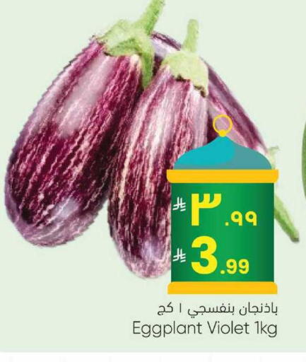 Eggplant available at City Flower in KSA, Saudi Arabia, Saudi - Sakaka
