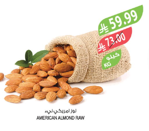 available at المزرعة in مملكة العربية السعودية, السعودية, سعودية - جازان