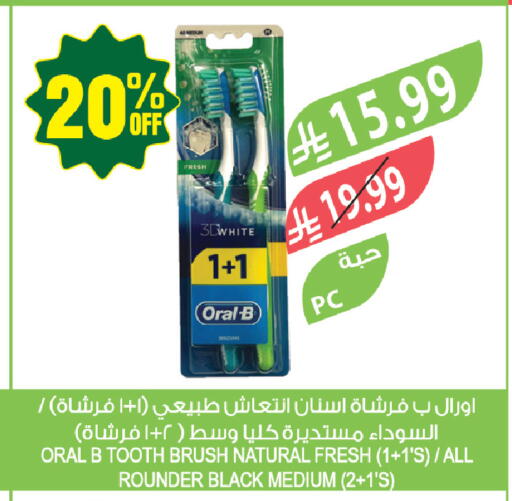 available at المزرعة in مملكة العربية السعودية, السعودية, سعودية - جازان
