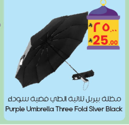 available at ستي فلاور in مملكة العربية السعودية, السعودية, سعودية - المنطقة الشرقية