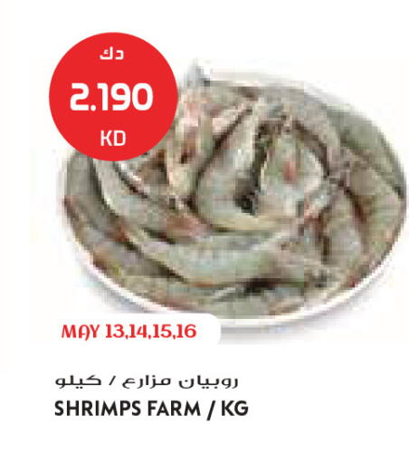 available at جراند كوستو in الكويت - مدينة الكويت