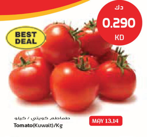 Tomato from Kuwait available at Grand Costo in Kuwait - Kuwait City