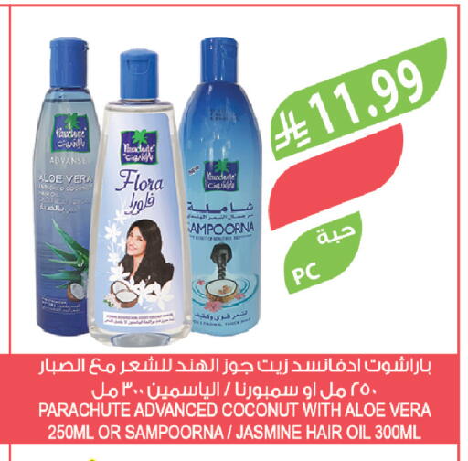 Coconut available at Farm  in KSA, Saudi Arabia, Saudi - Yanbu