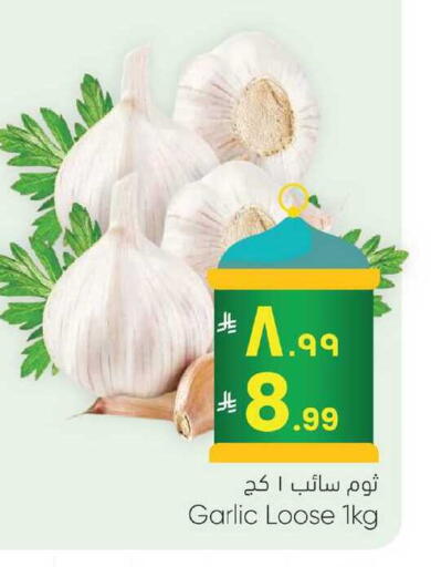 Garlic available at City Flower in KSA, Saudi Arabia, Saudi - Jubail