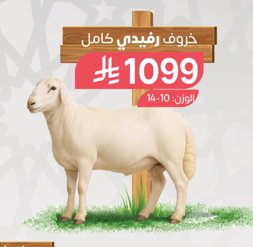 available at المزرعة in مملكة العربية السعودية, السعودية, سعودية - جازان