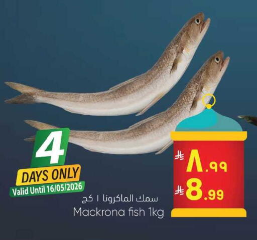 available at ستي فلاور in مملكة العربية السعودية, السعودية, سعودية - نجران