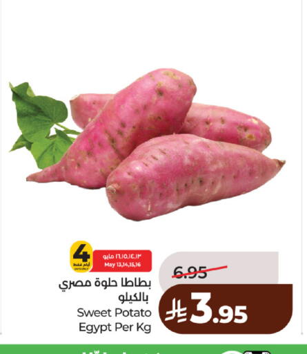 Sweet Potato from Egypt available at لولو هايبرماركت in مملكة العربية السعودية, السعودية, سعودية - حائل‎