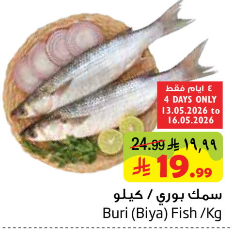 available at Layan Hyper in KSA, Saudi Arabia, Saudi - Dammam