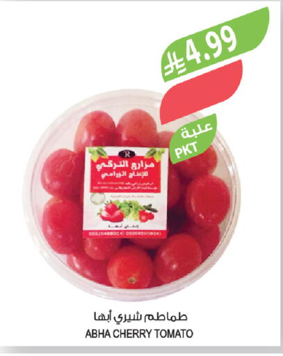 Cherry Cherry tomato available at Farm  in KSA, Saudi Arabia, Saudi - Yanbu