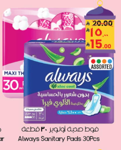 available at City Flower in KSA, Saudi Arabia, Saudi - Buraidah