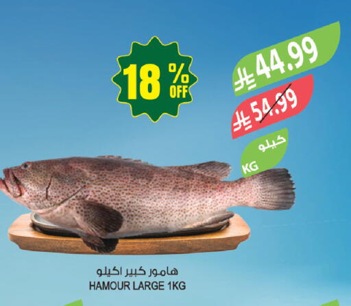 available at المزرعة in مملكة العربية السعودية, السعودية, سعودية - جازان