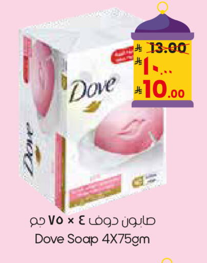 available at City Flower in KSA, Saudi Arabia, Saudi - Sakaka