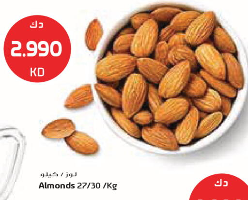 available at جراند كوستو in الكويت - مدينة الكويت