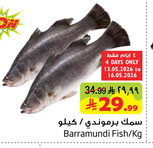 available at Layan Hyper in KSA, Saudi Arabia, Saudi - Dammam