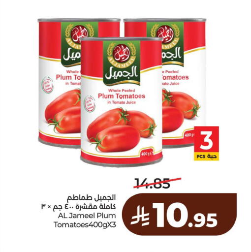 Plum Tomato available at لولو هايبرماركت in مملكة العربية السعودية, السعودية, سعودية - المنطقة الشرقية