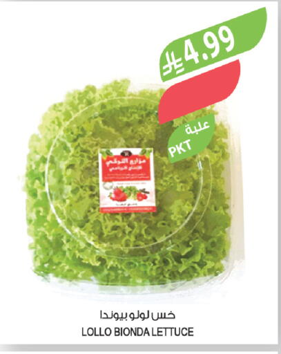 Lettuce available at المزرعة in مملكة العربية السعودية, السعودية, سعودية - الخبر‎