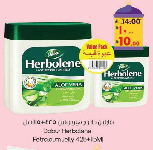 available at City Flower in KSA, Saudi Arabia, Saudi - Sakaka