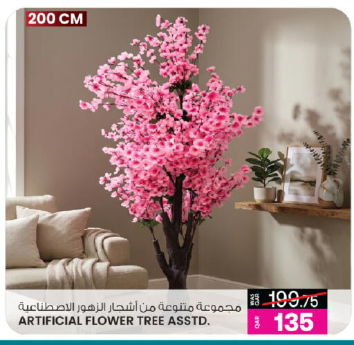 available at أنصار جاليري in قطر - الخور