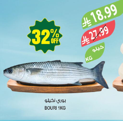 available at المزرعة in مملكة العربية السعودية, السعودية, سعودية - سكاكا