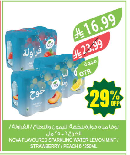 Lemon Strawberry Peach Mint available at المزرعة in مملكة العربية السعودية, السعودية, سعودية - تبوك