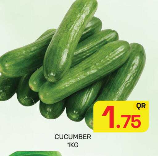 Cucumber available at مجلس هايبرماركت in قطر - الدوحة