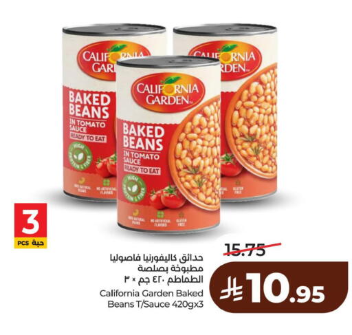 Tomato available at لولو هايبرماركت in مملكة العربية السعودية, السعودية, سعودية - الخبر‎