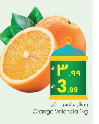 Orange available at City Flower in KSA, Saudi Arabia, Saudi - Jubail