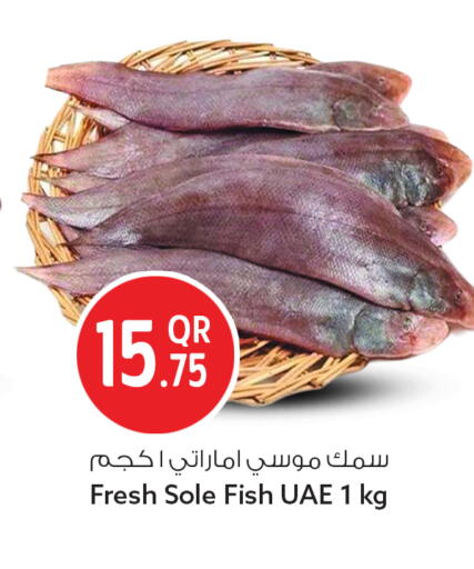 available at Safari Hypermarket in Qatar - Al Rayyan