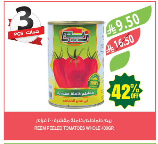 Tomato available at Farm  in KSA, Saudi Arabia, Saudi - Jazan