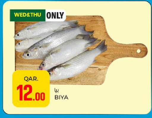 available at باريس هايبرماركت in قطر - الريان