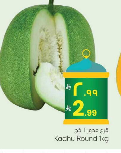 available at City Flower in KSA, Saudi Arabia, Saudi - Sakaka