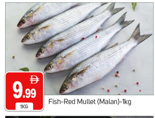 available at TALAL MARKET in UAE - Dubai