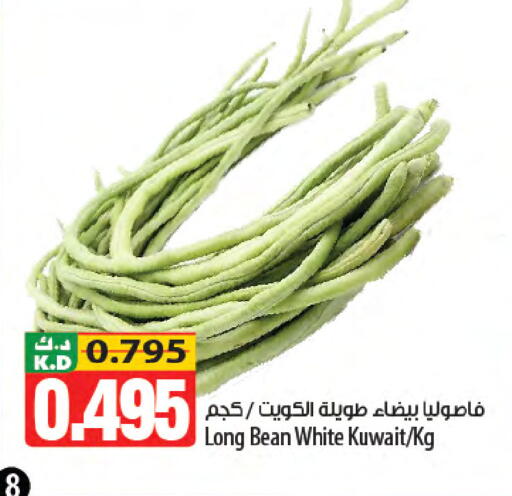 Mango from Kuwait available at Mango Hypermarket  in Kuwait - Jahra Governorate