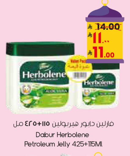 available at City Flower in KSA, Saudi Arabia, Saudi - Sakaka